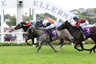 Contessa Vanessa (NZ) winning the Group 2 Eight Carat Classic in 2017.
